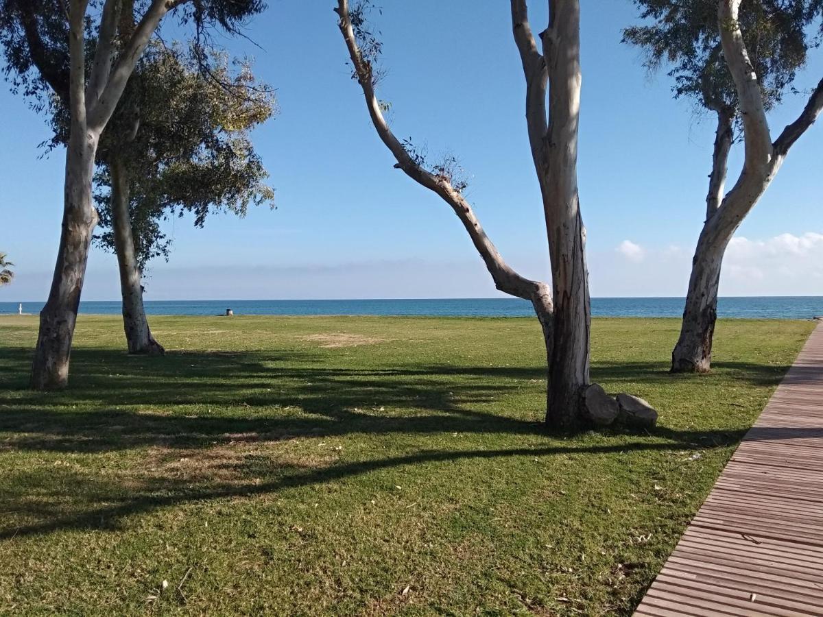 Acv - Costa Marina Ii - 1ª Linea Planta 6 Sur